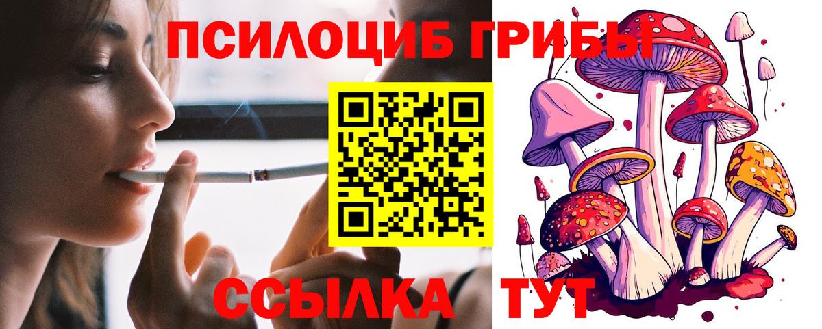 Галлюциногенные грибы Cubensis  Вход с VPN  Дмитров 